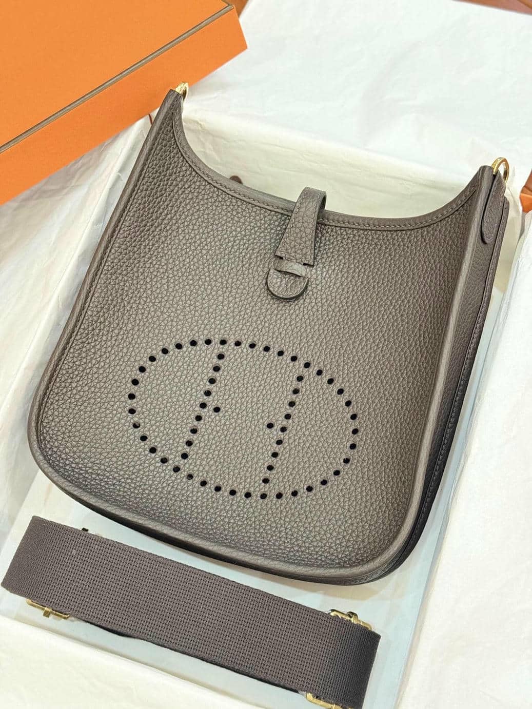 Evelyne23cm-8